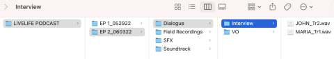 Screen shot of a file folder structure for organizing one's audio for podcasting