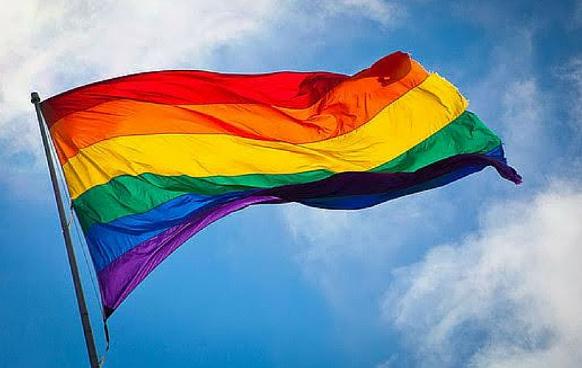 Watch "Pride 20/20: LGBTQ Civil Rights" on MNN 6/14 at 7pm