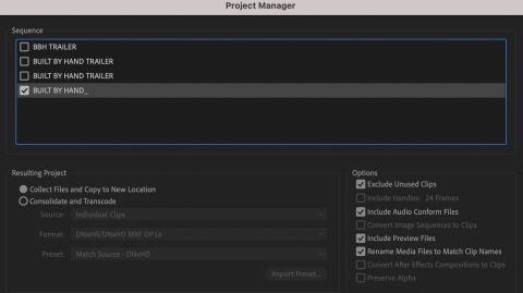 The Premiere Project Manager Options Window