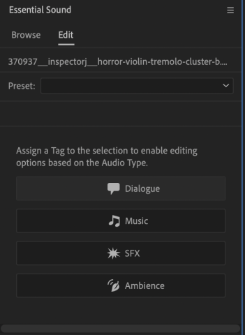 Screenshot of Adobe Premiere Pro Essential Sound Panel. Shows the Dialogue Audio Type selected.