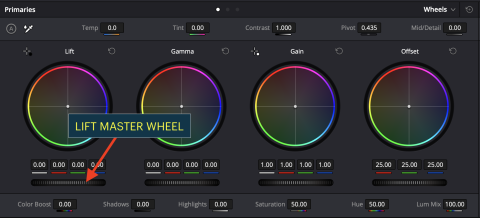Screenshot from DaVinci Resolve showing the Lift Master Wheel