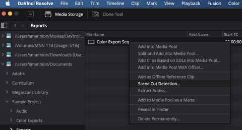 Screen Shot showing the Scene Cut Detection option in the context menu in DaVinci Resolve